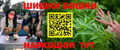 гидра Кингисепп