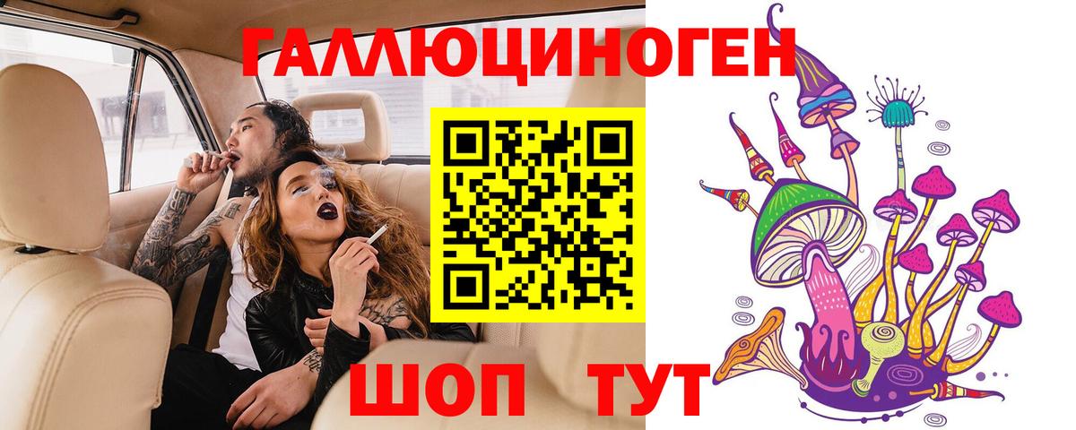 Псилоцибиновые грибы GOLDEN TEACHER  Галлюциногенные грибы GOLDEN TEACHER  где можно купить   Вход с VPN  Азов 